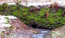 Watzengraben - natürlicher Bachlauf mit Moosen